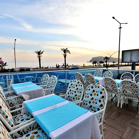 Mesut Alanya