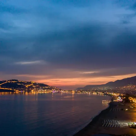 Mesut Alanya